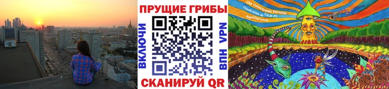 Купить закладки  Перевоз  Псилоцибиновые грибы Psilocybe 
